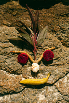 Ilha