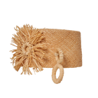 Coyote
