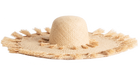 Erizo