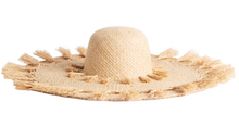 Erizo